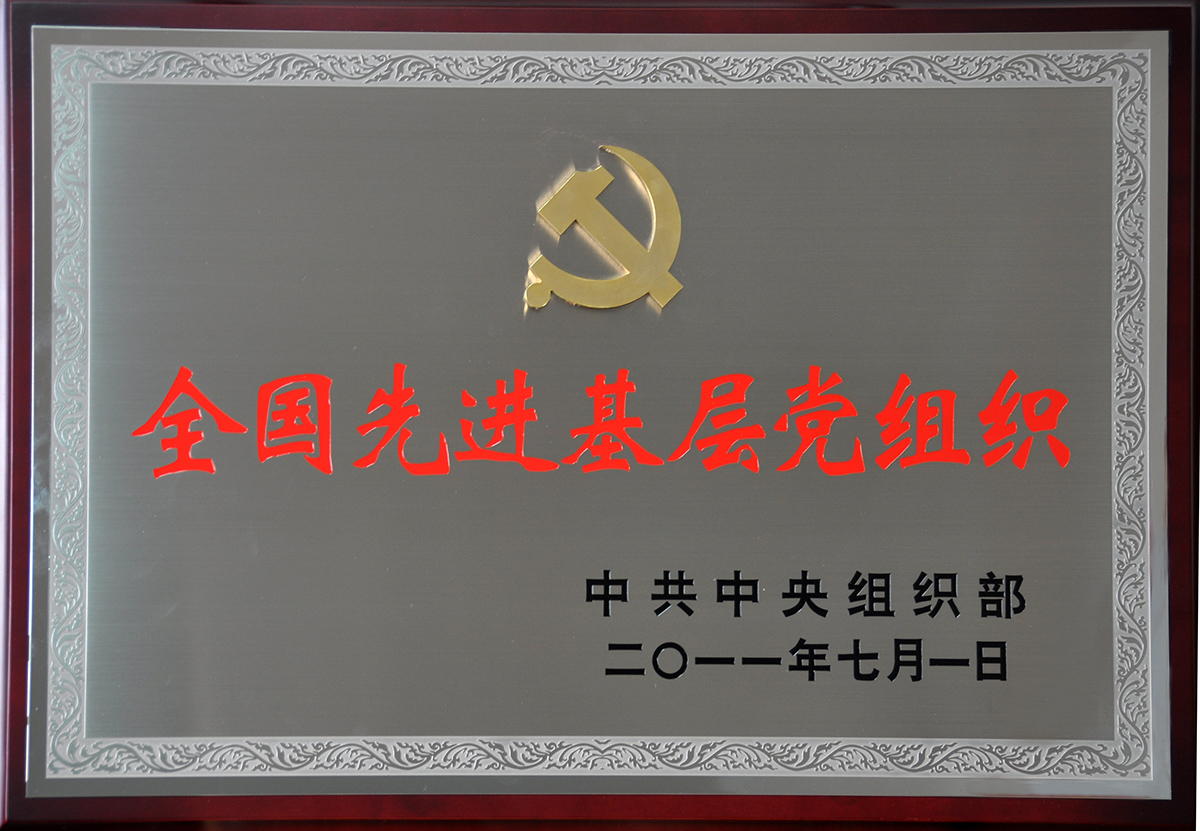 2011年7月，紅豆集團黨委榮獲“全國先進基層黨組織”稱號